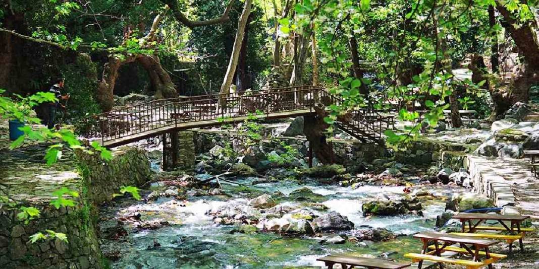 Bir yanında deniz bir yanında orman! Dünyanın gizli kalmış cenneti: Emeklilik hayali kuranların aradığı adres 3